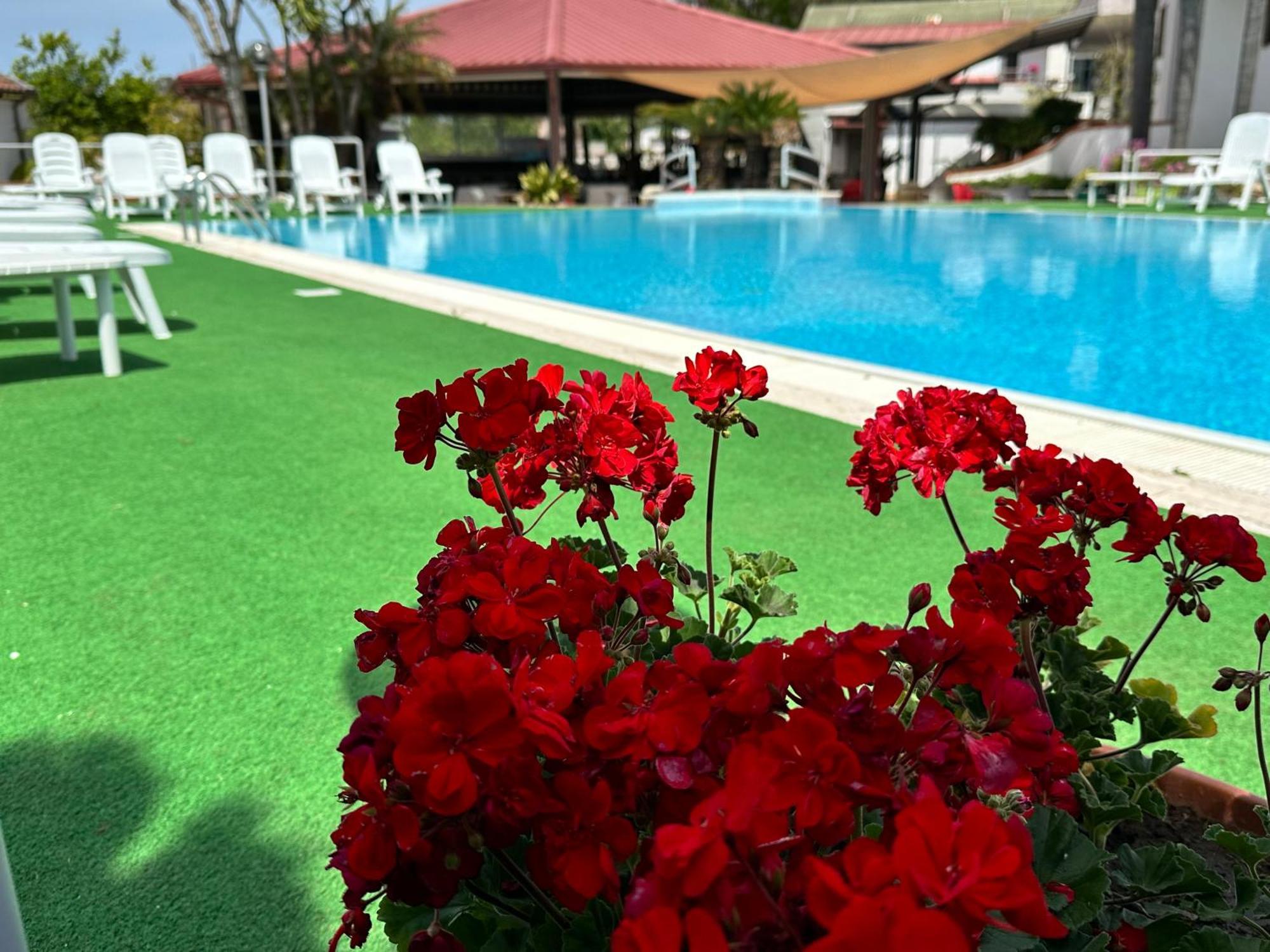 Hotel B&B Marina Capaccio Eksteriør billede