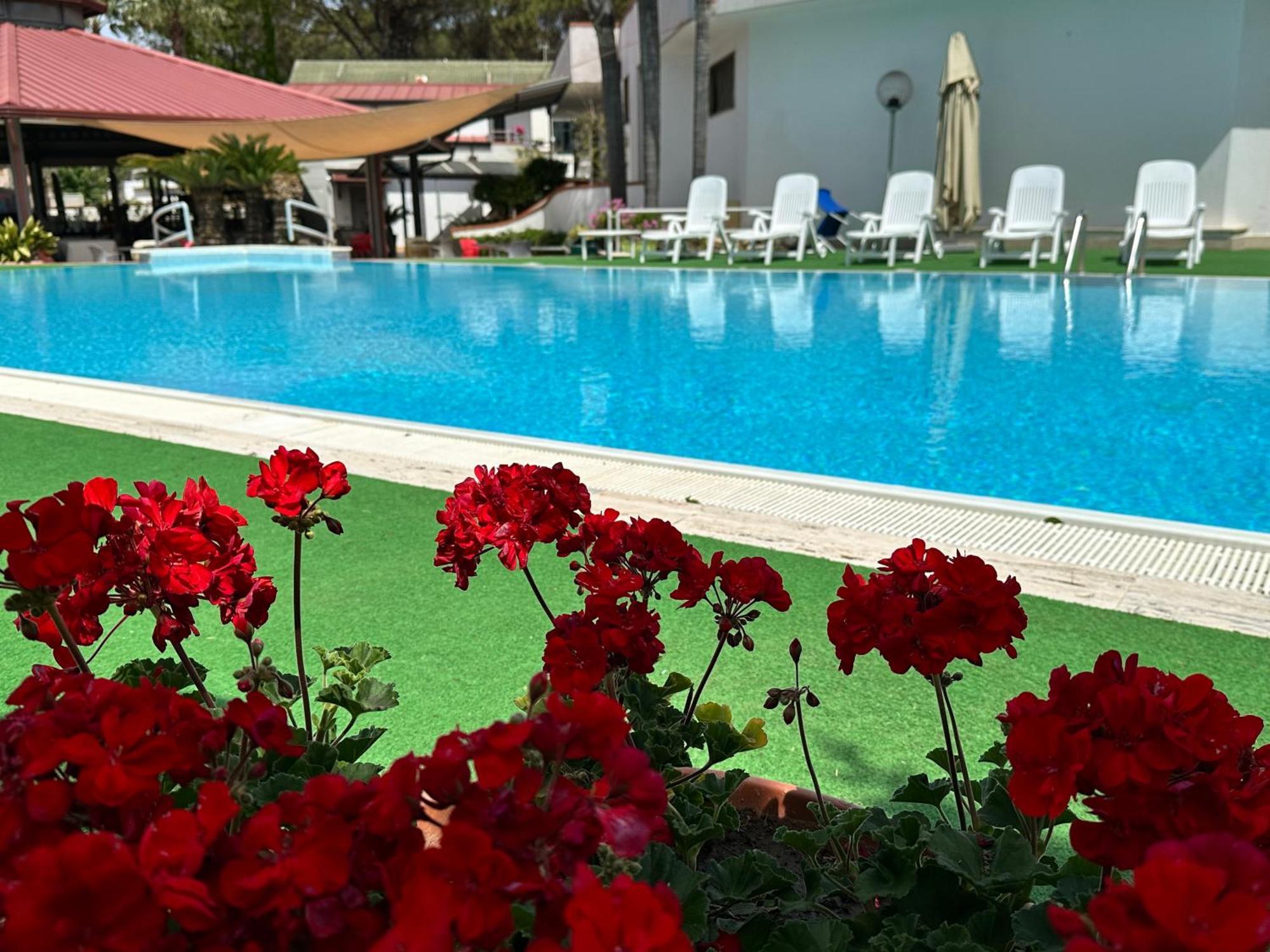 Hotel B&B Marina Capaccio Eksteriør billede